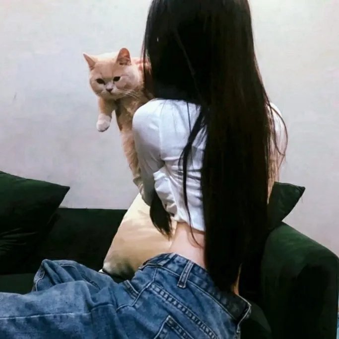 编剧风云