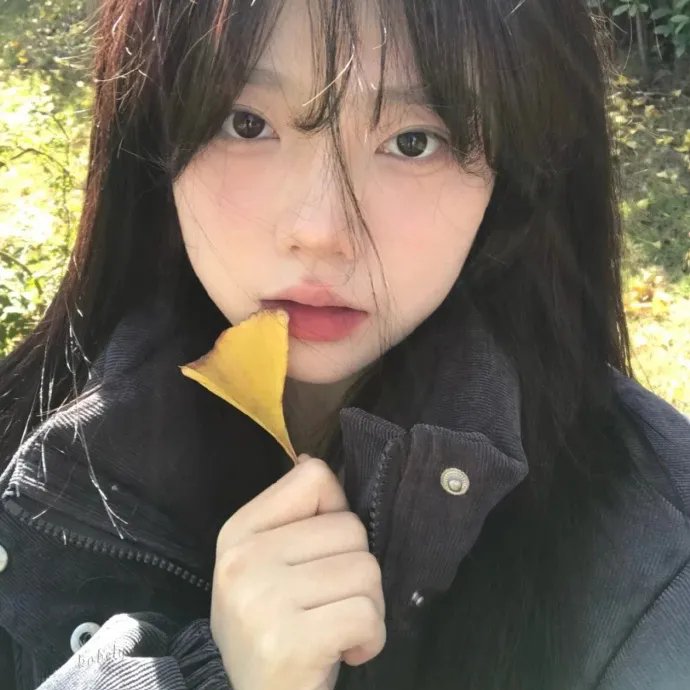 陆小凤与花满楼